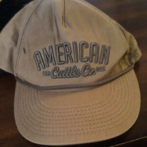 Tan Baseball Cap